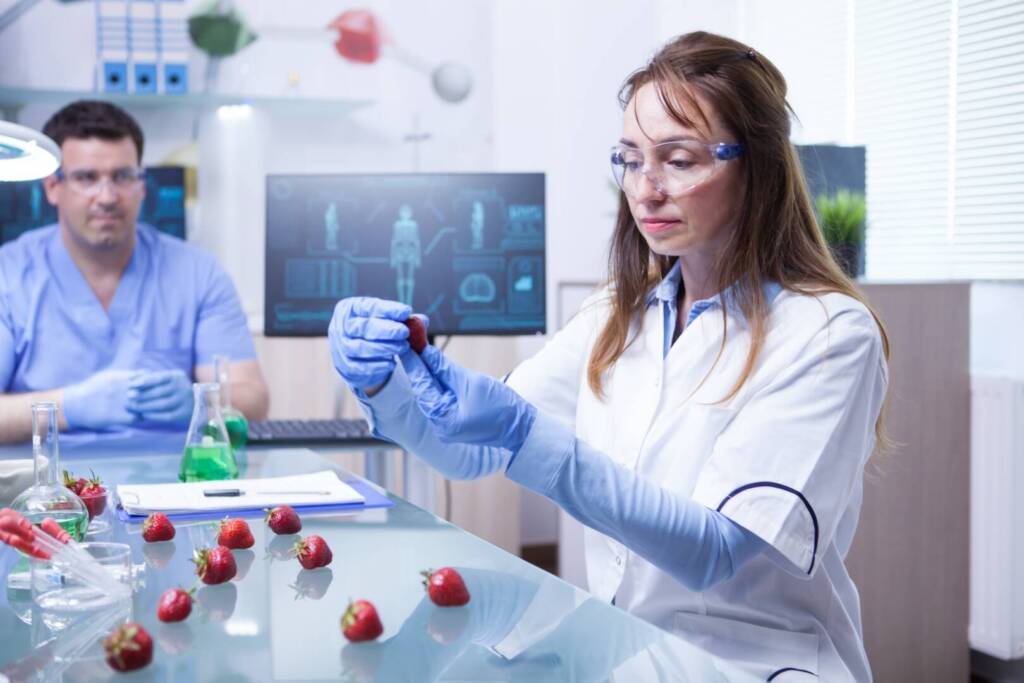 Female scientist and her assistant working on a cure for strawberries parasites